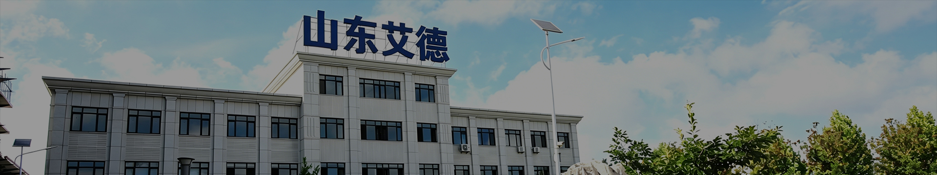 走进艾德
